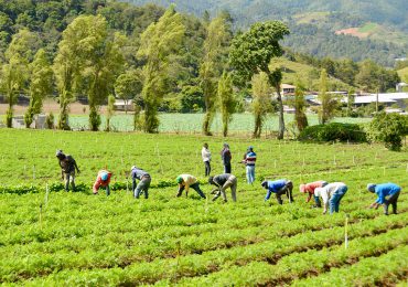 Préstamos del Bagrícola superiores a RD$143,476 millones evidencian compromiso del Gobierno con los agricultores del país